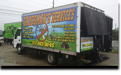 20151223_084401 20151223_084401